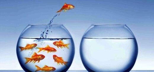 تکنولوژی- شغل